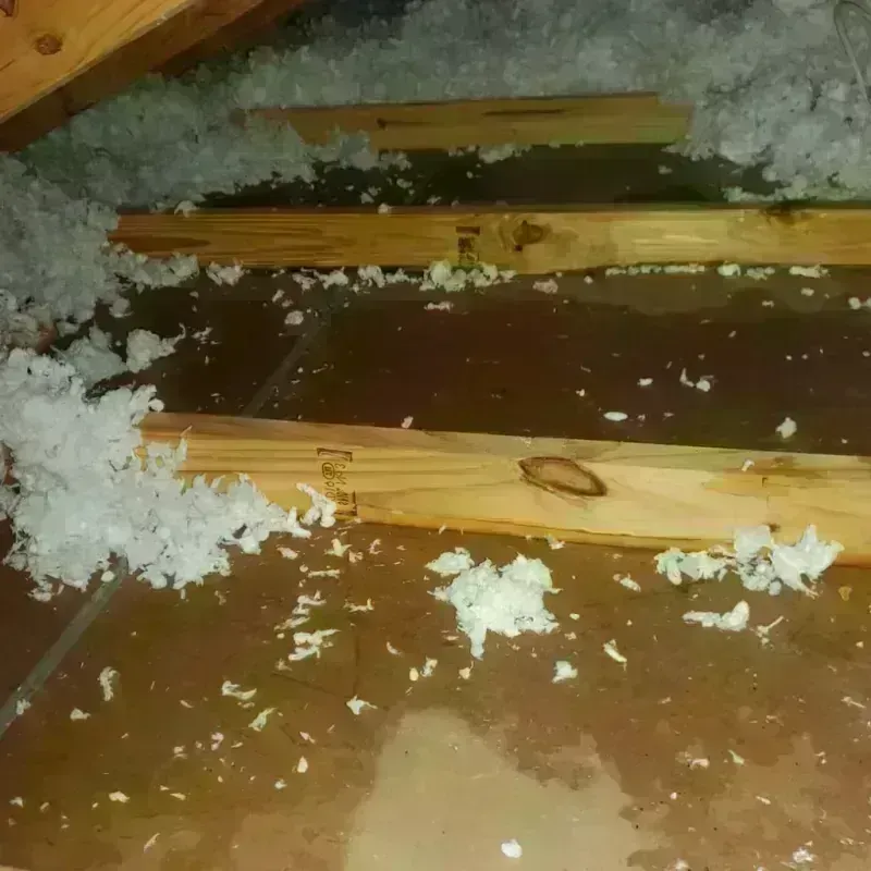 Attic Water Damage in Wedgefield, FL