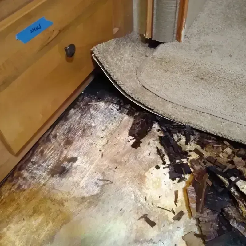 Wood Floor Water Damage in Wedgefield, FL